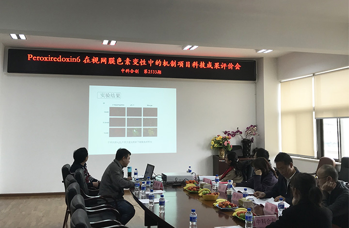 Peroxiredoxin 6在视网膜色素变性中的机制 anli.jpg